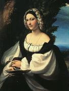 CORNELISZ VAN OOSTSANEN, Jacob Portrait of a Gentlewoman df USA oil painting artist